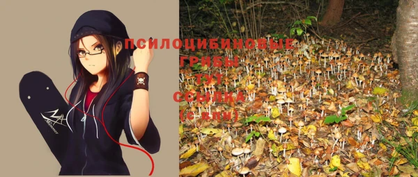 mix Баксан